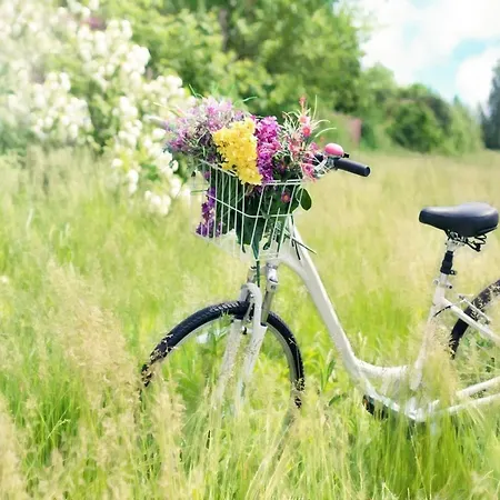 Lägenhet Comfortable With A Sea View